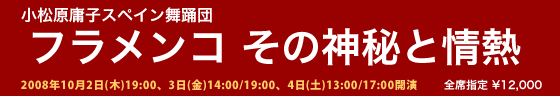 フラメンコ その神秘と情熱