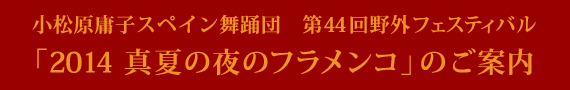 小松原庸子スペイン舞踊団　第44回野外フェスティバル「2014真夏の夜のフラメンコ」のご案内