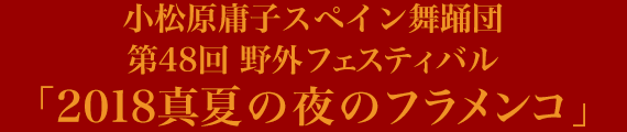 第48回野外フェスティバル「2018真夏の夜のフラメンコ」