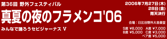 第35回野外フェスティバル 真夏の夜のフラメンコ