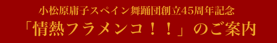 小松原庸子スペイン舞踊団創立45周年記念「情熱フラメンコ！！」のご案内