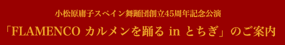 「FLAMENCO　カルメンを踊る　in とちぎ」のご案内