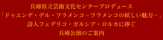 兵庫県立芸術文化センタープロデュース
「ドゥエンデ・デル・フラメンコ－フラメンコの妖しい魅力－」
詩人フェデリコ・ガルシア・ロルカに捧ぐ
兵庫公演のご案内
