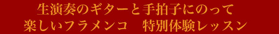生演奏のギターと手拍子にのって 楽しいフラメンコ　特別体験レッスン
