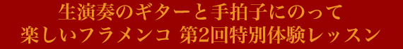 楽しいフラメンコ 第2回特別体験レッスン