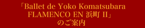 Ballet de Yoko Komatsubara
FLAMENCO EN 浜町 II