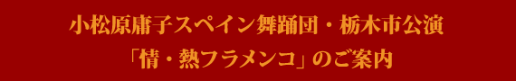 栃木市公演「情・熱フラメンコ」のご案内 栃木市公演「情・熱フラメンコ」のご案内